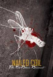 Nailed Coil : The Full Blown Breakout